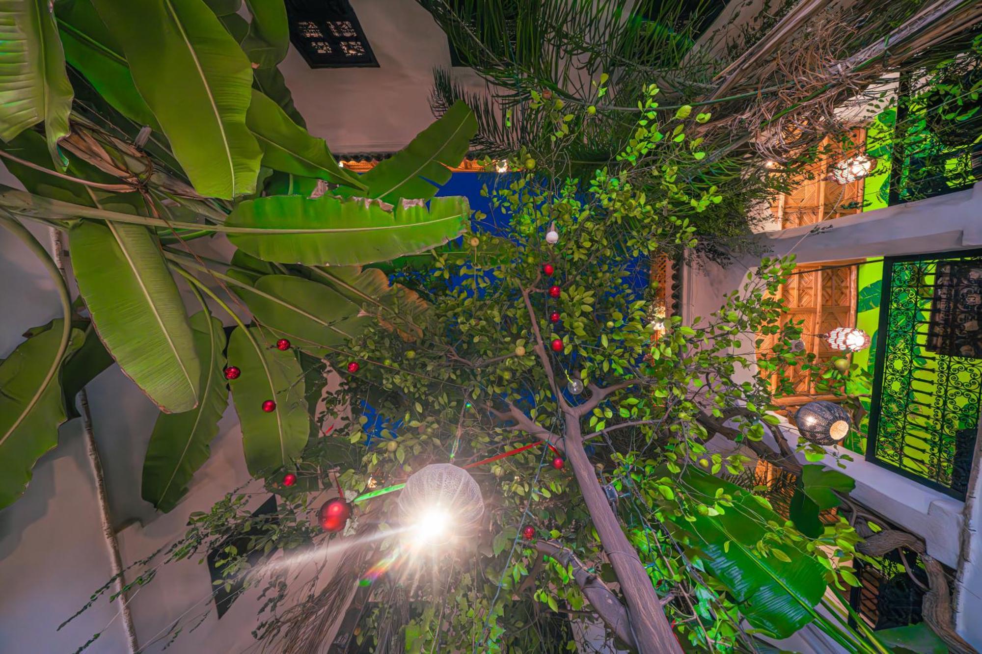 Riad Tibibt Marrakesh Eksteriør billede